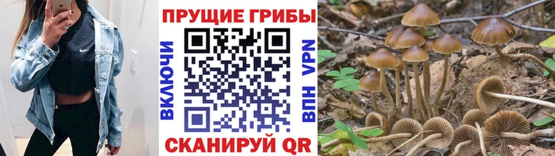 Галлюциногенные грибы MAGIC MUSHROOMS  Ефремов 